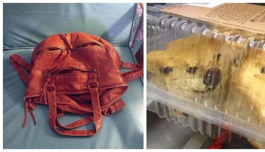 22 funny optical illusions from everyday life