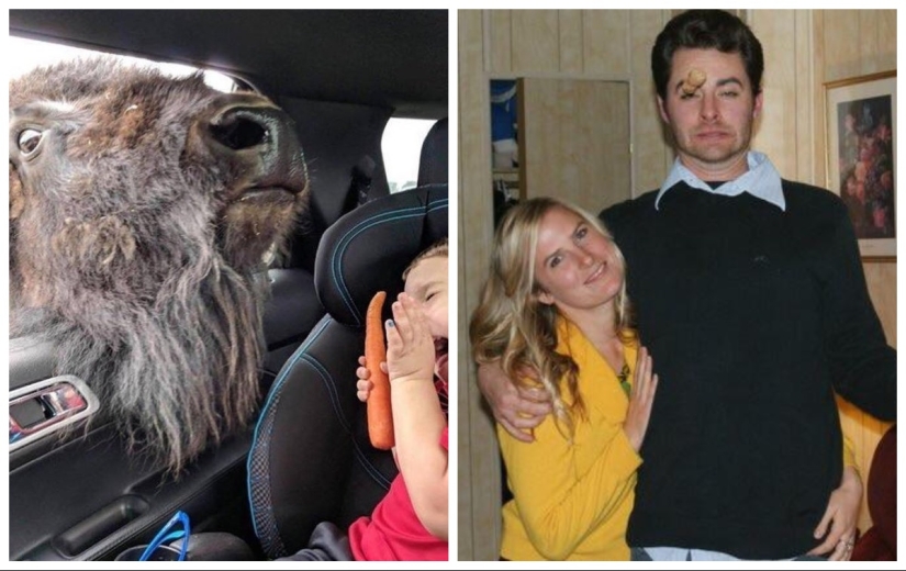 22 funny photos taken at the right moment 22 funny photos taken at the right moment