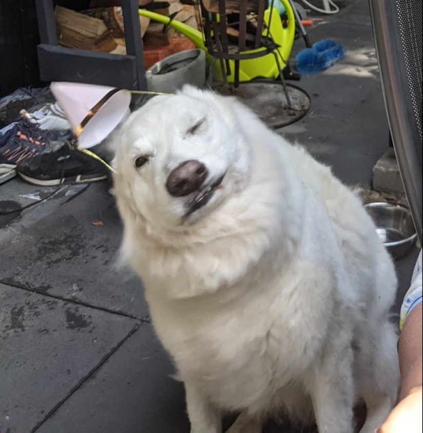 22 funny photos taken at the right moment 22 funny photos taken at the right moment