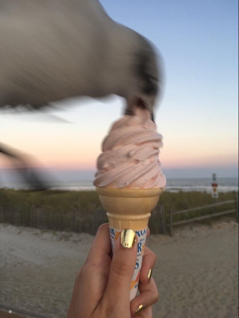 22 funny photos taken at the right moment 22 funny photos taken at the right moment