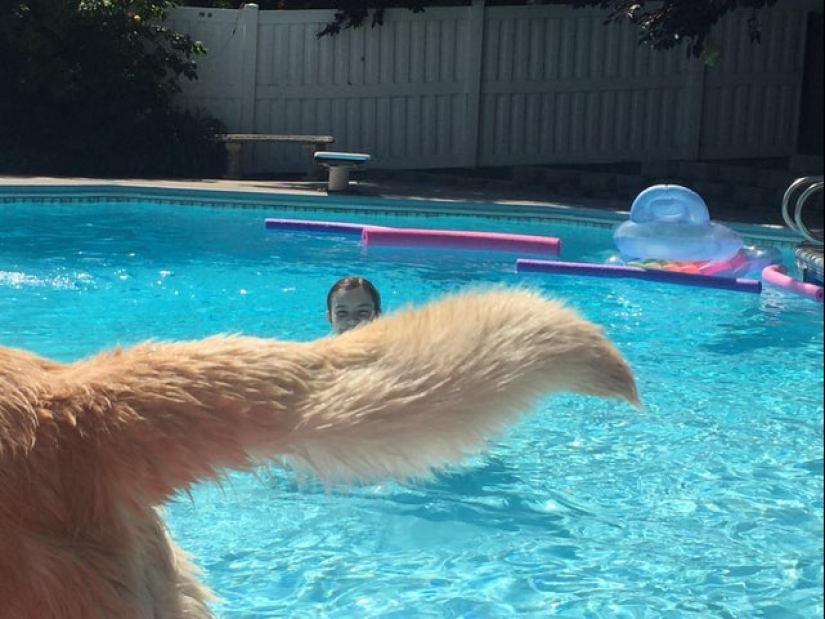 22 funny photos taken at the right moment 22 funny photos taken at the right moment