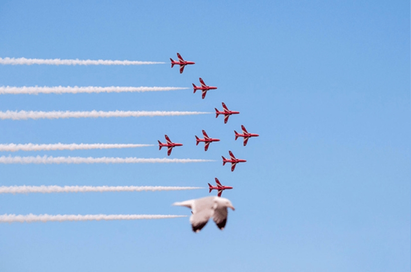 22 funny photos taken at the right moment 22 funny photos taken at the right moment
