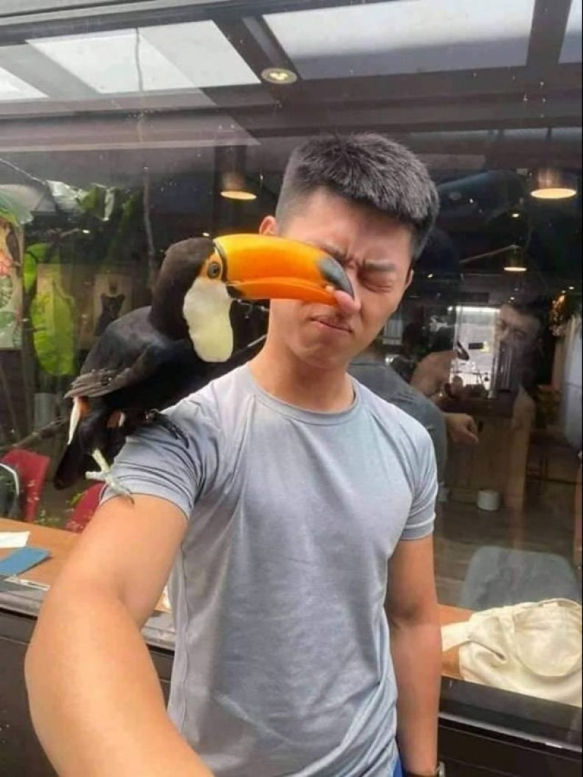 22 funny photos taken at the right moment 22 funny photos taken at the right moment