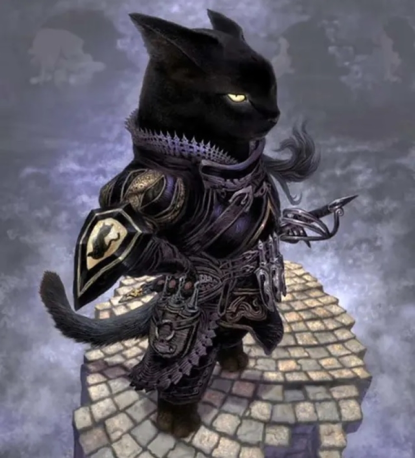 22 fuzzy knight on cute illustrations by Japanese artist PonkichiM