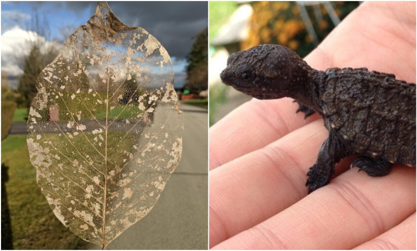 22 hallazgos increíbles que la gente no pudo evitar compartir en línea 22 hallazgos increíbles que la gente no pudo evitar compartir en línea