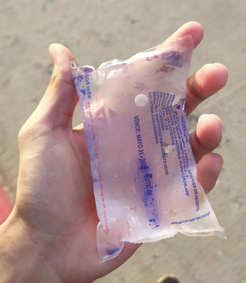 22 hallazgos increíbles que la gente no pudo evitar compartir en línea 22 hallazgos increíbles que la gente no pudo evitar compartir en línea