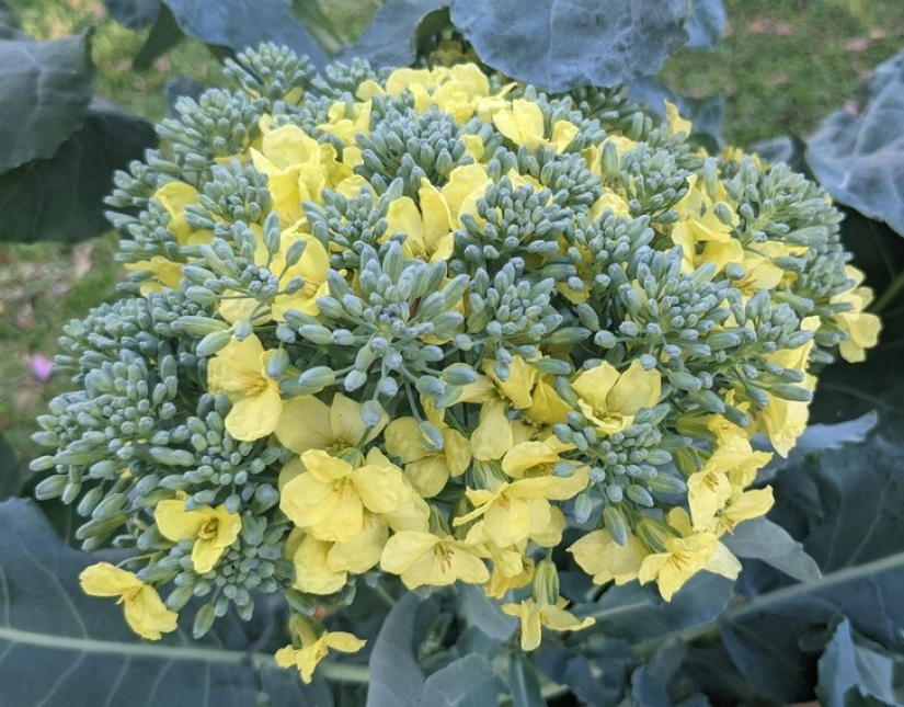 22 hallazgos increíbles que la gente no pudo evitar compartir en línea 22 hallazgos increíbles que la gente no pudo evitar compartir en línea