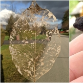 22 hallazgos increíbles que la gente no pudo evitar compartir en línea