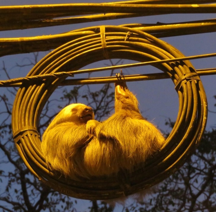 22 hallazgos increíbles que la gente no pudo evitar compartir en línea 22 hallazgos increíbles que la gente no pudo evitar compartir en línea