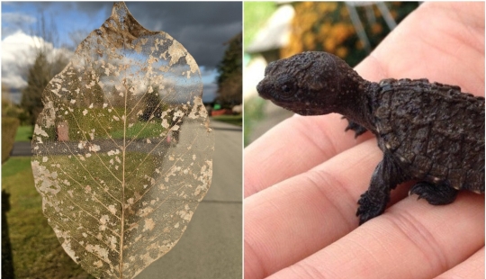 22 hallazgos increíbles que la gente no pudo evitar compartir en línea 22 hallazgos increíbles que la gente no pudo evitar compartir en línea