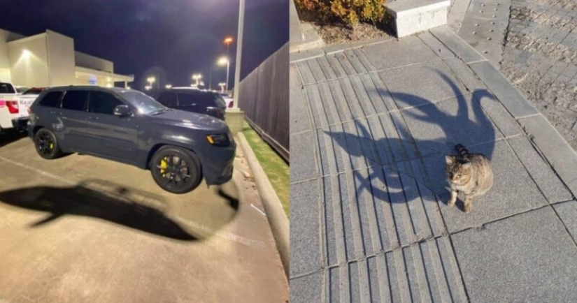 22 hermosos ejemplos del juego de luces y sombras 22 hermosos ejemplos del juego de luces y sombras