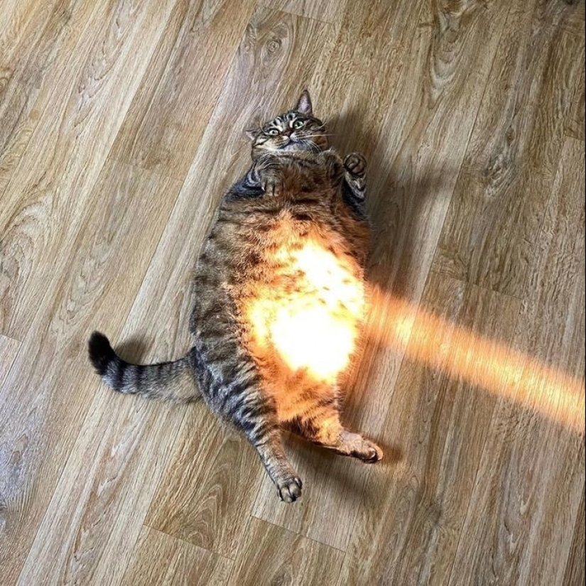 22 hermosos ejemplos del juego de luces y sombras 22 hermosos ejemplos del juego de luces y sombras