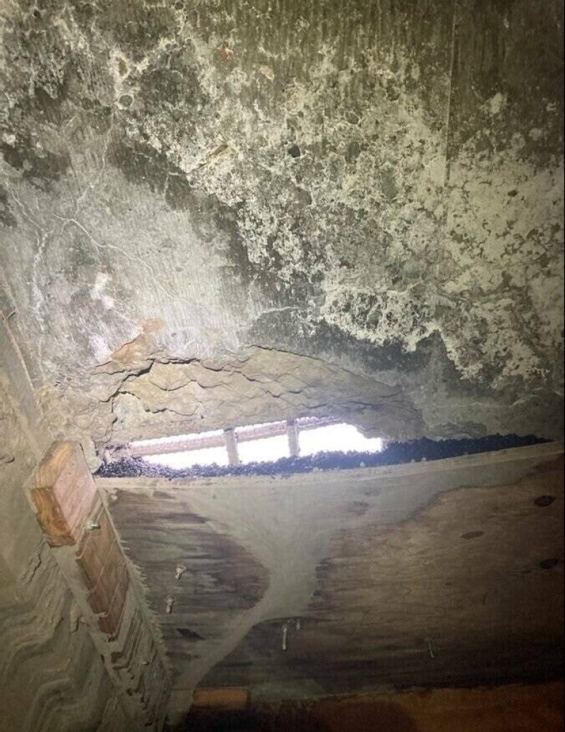 22 impresionantes fotos de cosas y fenómenos que demuestran lo increíble que es nuestro mundo 22 impresionantes fotos de cosas y fenómenos que demuestran lo increíble que es nuestro mundo