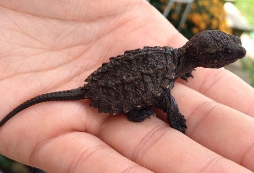 22 incredible finds that people couldn't help but share online 22 incredible finds that people couldn't help but share online