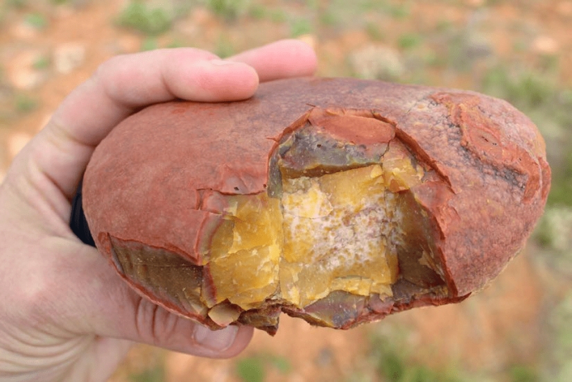 22 inedible items that you just want to eat 22 inedible items that you just want to eat