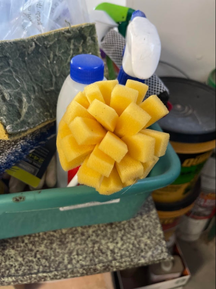 22 inedible items that you just want to eat 22 inedible items that you just want to eat