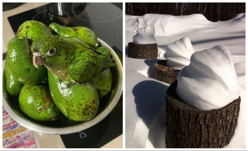 22 inedible items that somehow cause an appetite 22 inedible items that somehow cause an appetite