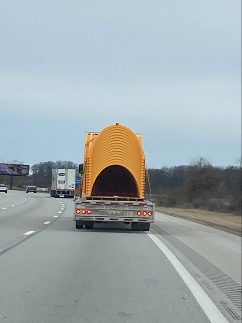 22 inedible items that somehow cause an appetite 22 inedible items that somehow cause an appetite