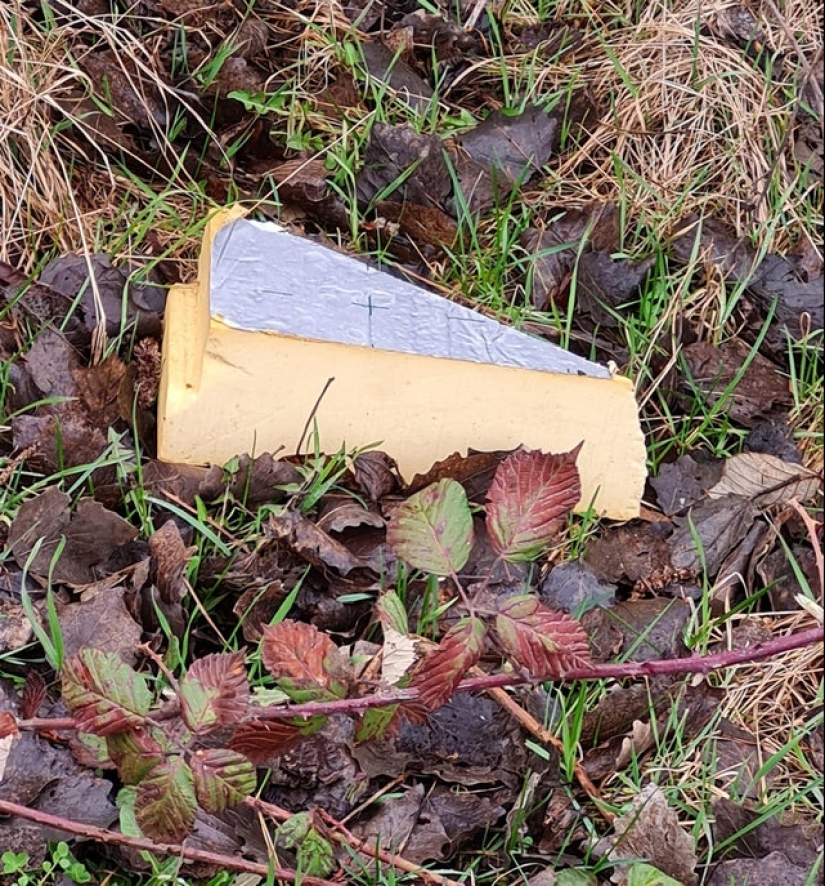 22 inedible items that somehow cause an appetite 22 inedible items that somehow cause an appetite