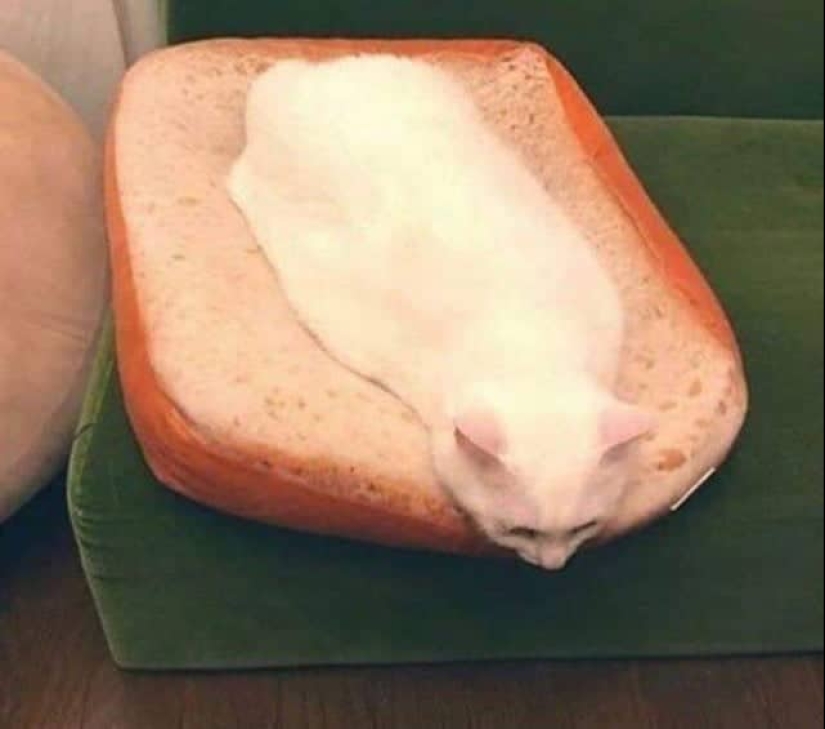 22 inedible items that somehow cause an appetite 22 inedible items that somehow cause an appetite