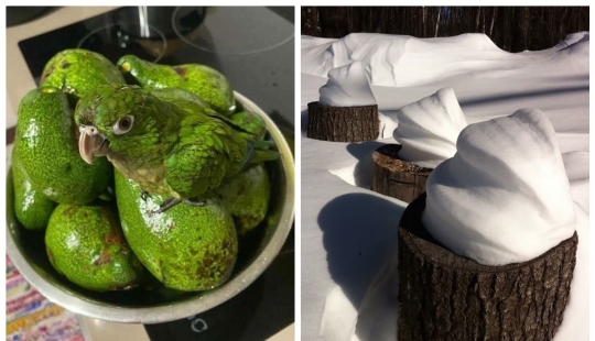22 inedible items that somehow cause an appetite