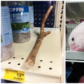 22 interesting and strange products from stores in different countries 22 interesting and strange products from stores in different countries