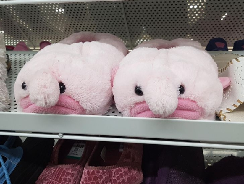 22 interesting and strange products from stores in different countries 22 interesting and strange products from stores in different countries