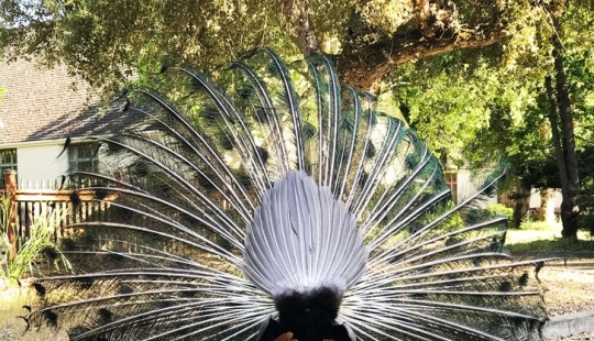 22 interesting photos about our diverse world, which will be a surprise for many 22 interesting photos about our diverse world, which will be a surprise for many