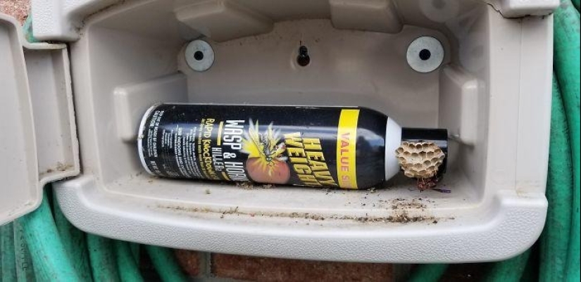 22 ironic situations full of contradiction and absurdity