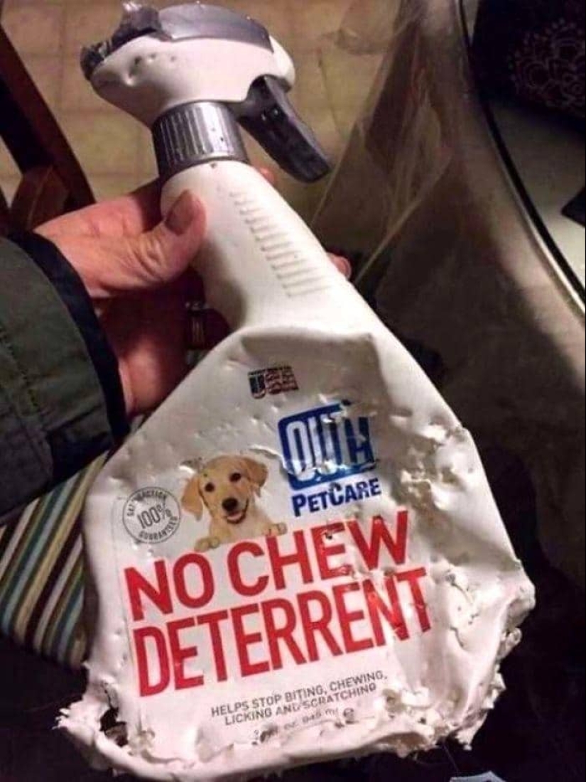 22 ironic situations full of contradiction and absurdity