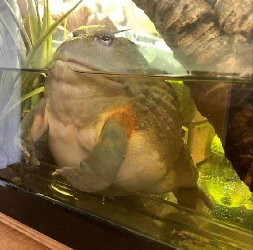 22 irrefutable proofs that size matters