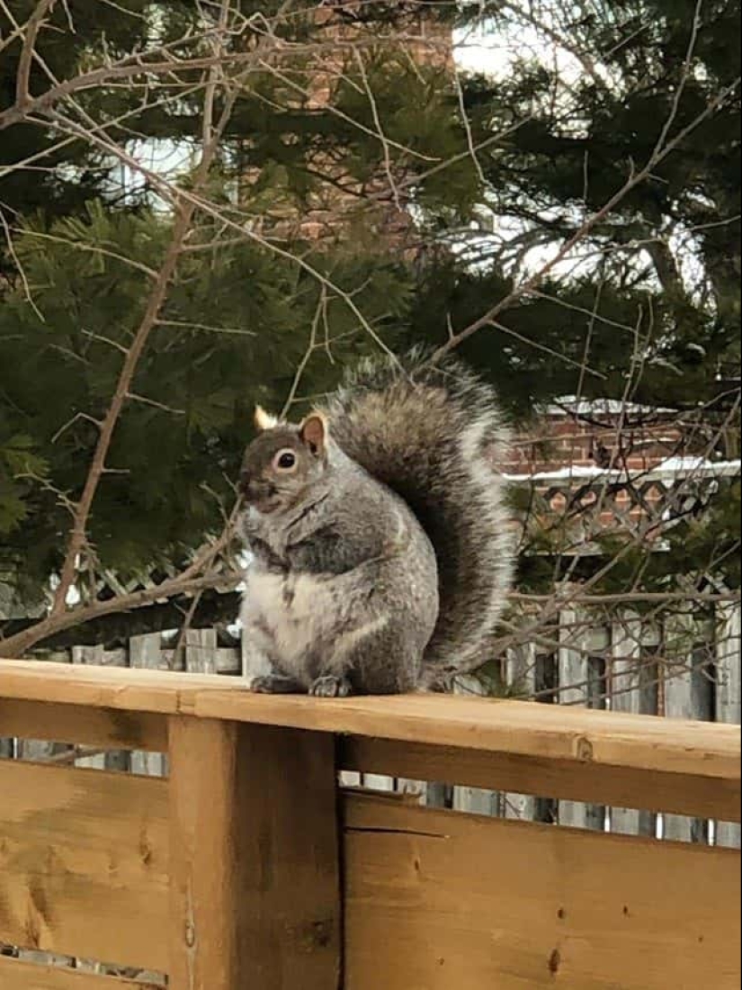 22 irrefutable proofs that size matters