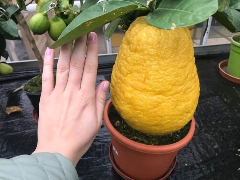 22 irrefutable proofs that size matters