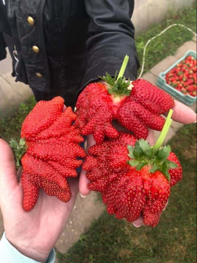 22 irrefutable proofs that size matters