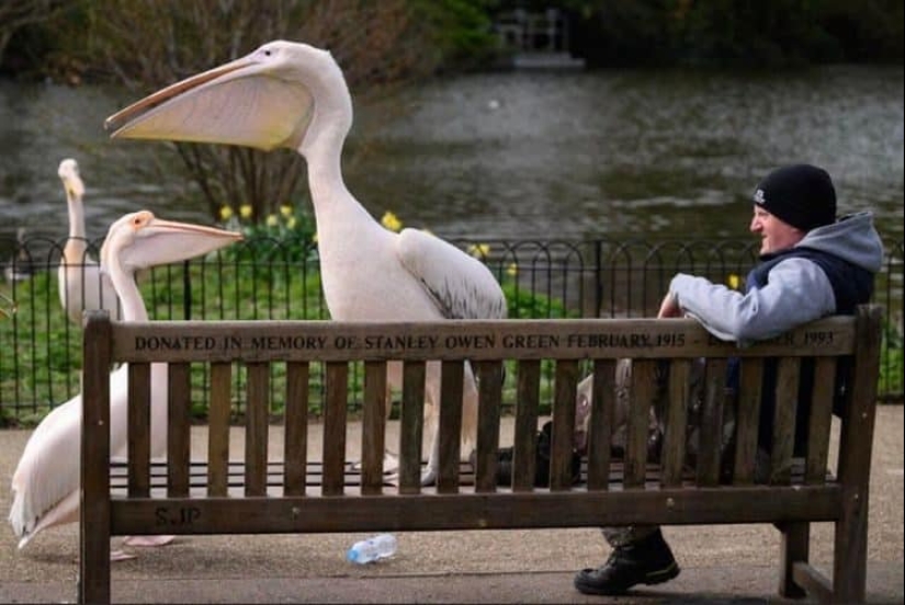 22 irrefutable proofs that size matters