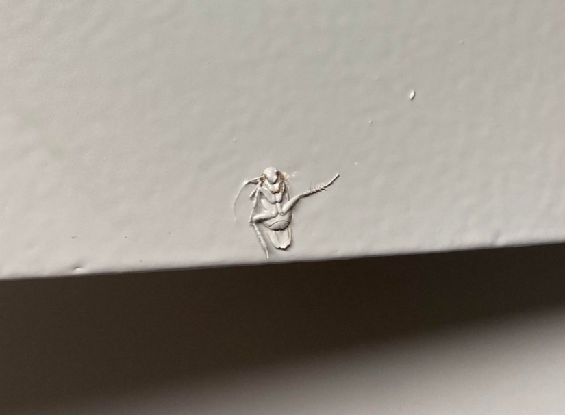 22 las situaciones más locas que enfrentan los inquilinos de apartamentos