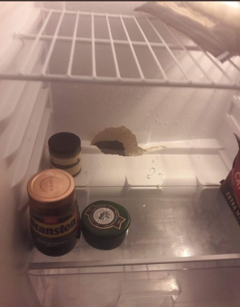 22 las situaciones más locas que enfrentan los inquilinos de apartamentos