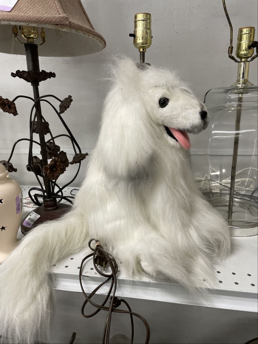 22 masterpieces of design thought that went somewhere wrong 22 masterpieces of design thought that went somewhere wrong