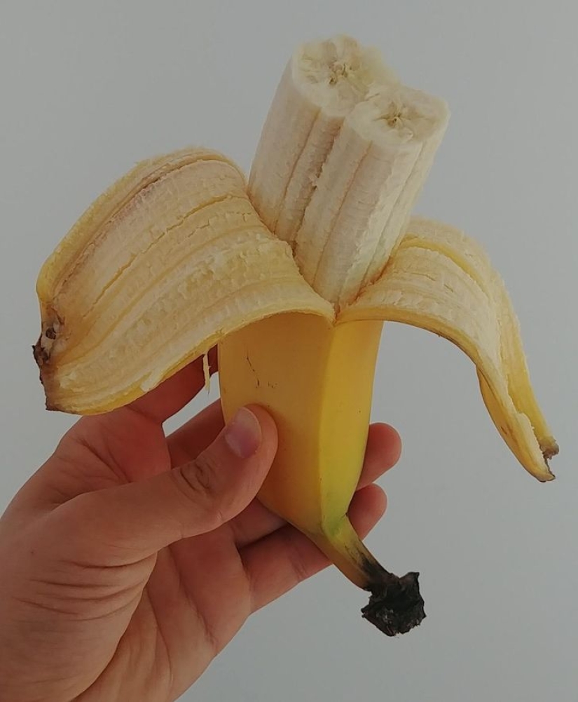 22 objetos extraños encontrados donde simplemente no podían ser 22 objetos extraños encontrados donde simplemente no podían ser