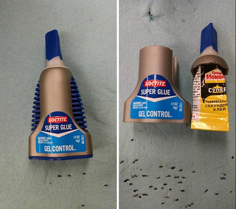 22 objetos extraños encontrados donde simplemente no podían ser 22 objetos extraños encontrados donde simplemente no podían ser