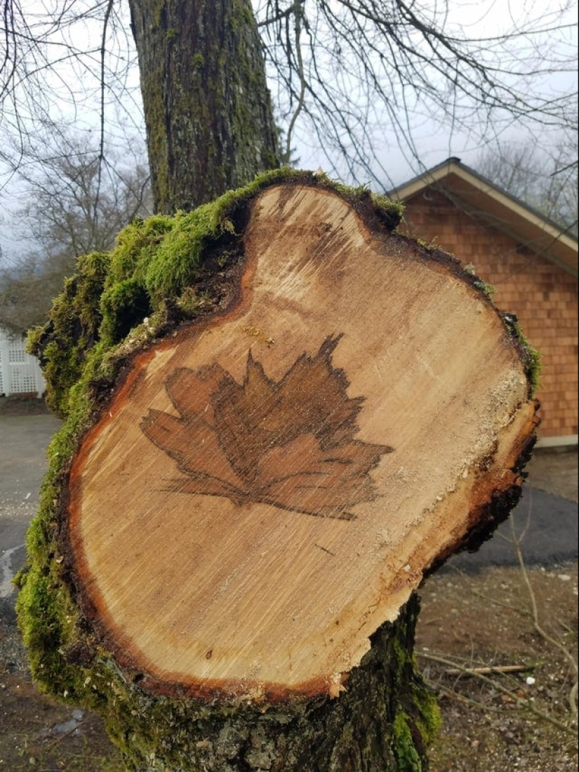22 objetos extraños encontrados donde simplemente no podían ser 22 objetos extraños encontrados donde simplemente no podían ser