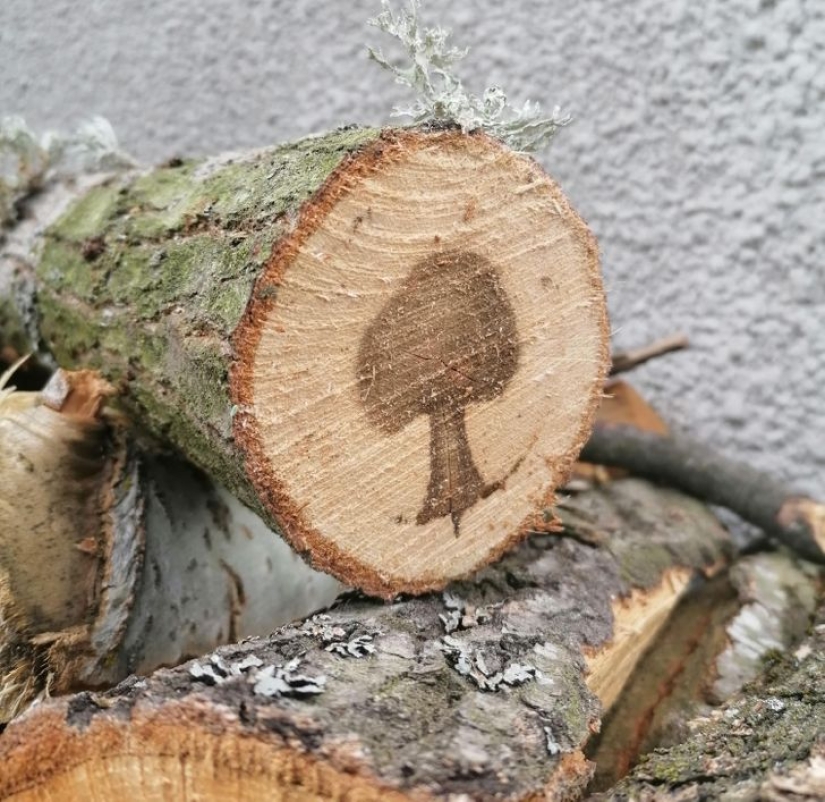 22 objetos extraños encontrados donde simplemente no podían ser 22 objetos extraños encontrados donde simplemente no podían ser