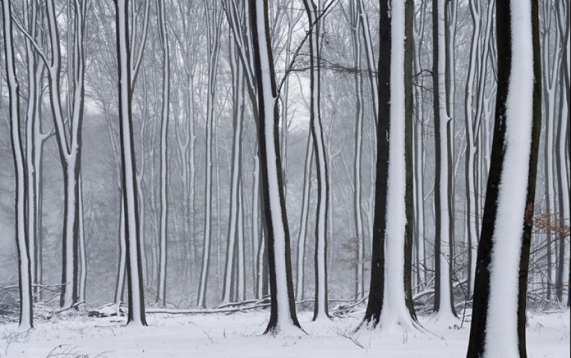 22 of the picture of Paradise for perfectionists