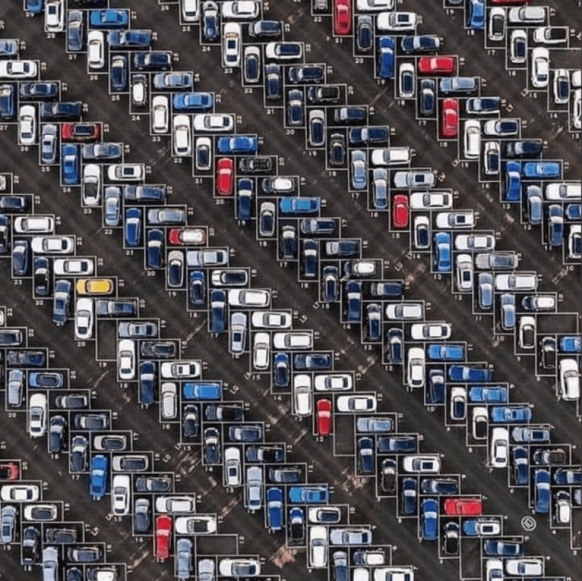 22 of the picture of Paradise for perfectionists