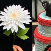 22 people whose hands grow from the right place 22 people whose hands grow from the right place