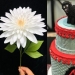 22 people whose hands grow from the right place 22 people whose hands grow from the right place