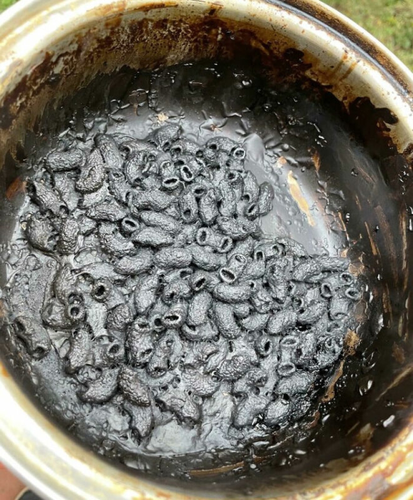 22 personas que se dieron cuenta de que cocinar no es lo suyo
