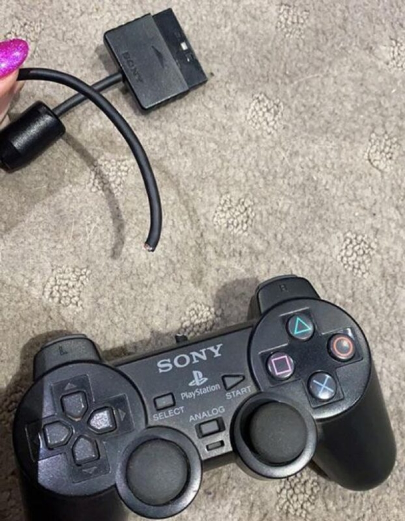 22 photo evidence that living with brothers and sisters is not boring at all 22 photo evidence that living with brothers and sisters is not boring at all