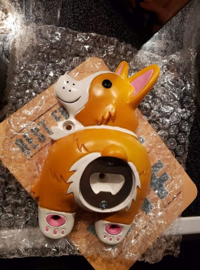 22 photos about what happens when bad taste is combined with good performance 22 photos about what happens when bad taste is combined with good performance