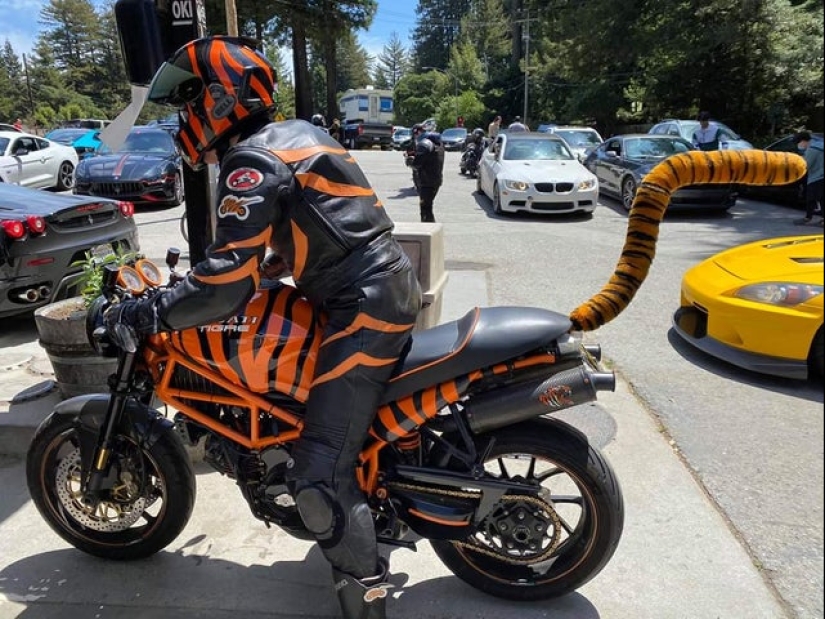 22 photos about what happens when bad taste is combined with good performance 22 photos about what happens when bad taste is combined with good performance